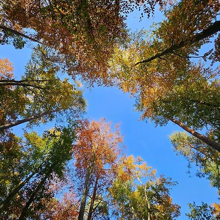 Fewo Am Wald Boek Exteriér fotografie