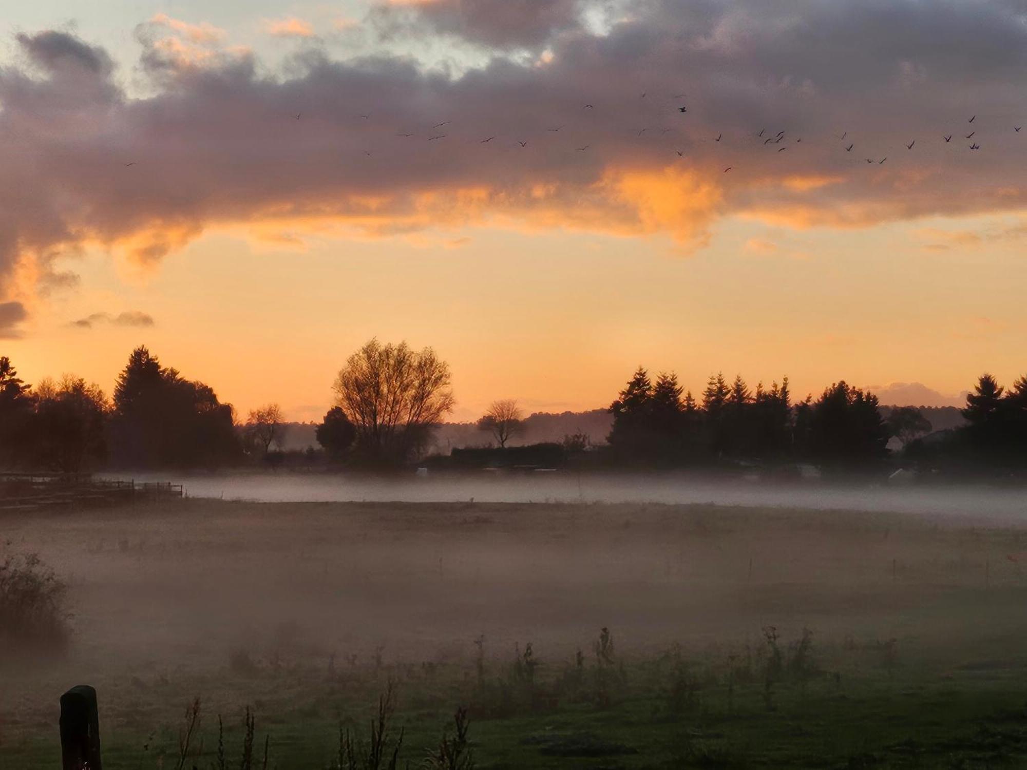 Fewo Am Wald Boek Exteriér fotografie